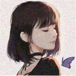 读者头像：来稿人苏禾